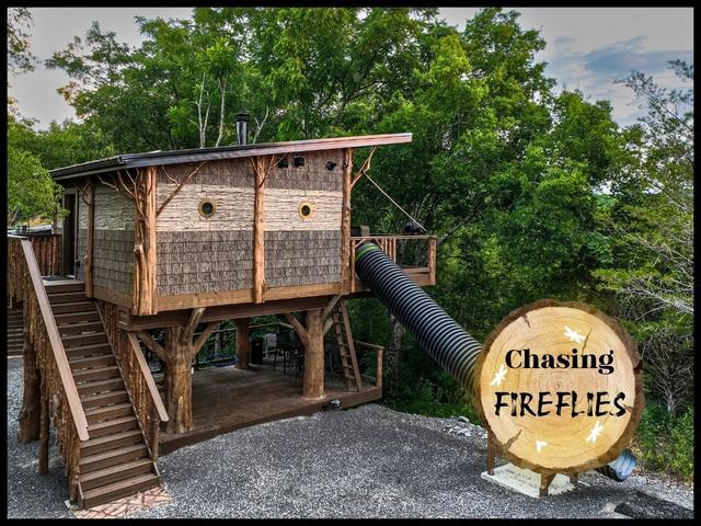 Photo of CHASING FIREFLIES - 49