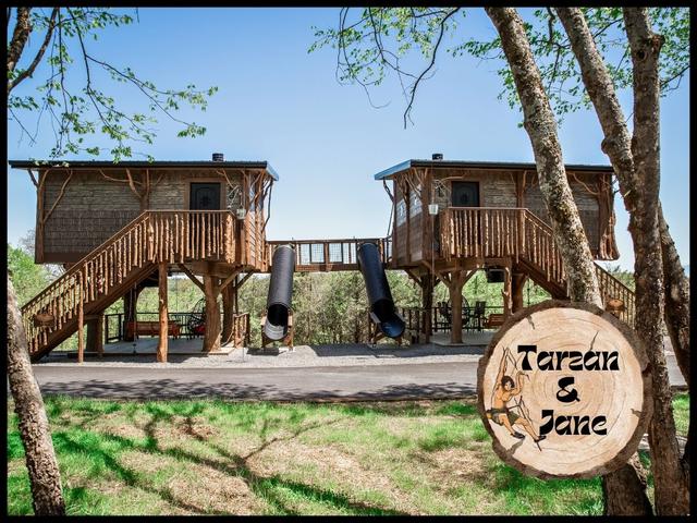 Photo of 50 & 51 - TARZAN & JANE