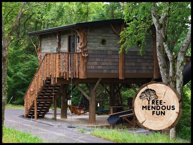 Photo of TREE-MENDOUS FUN - 54