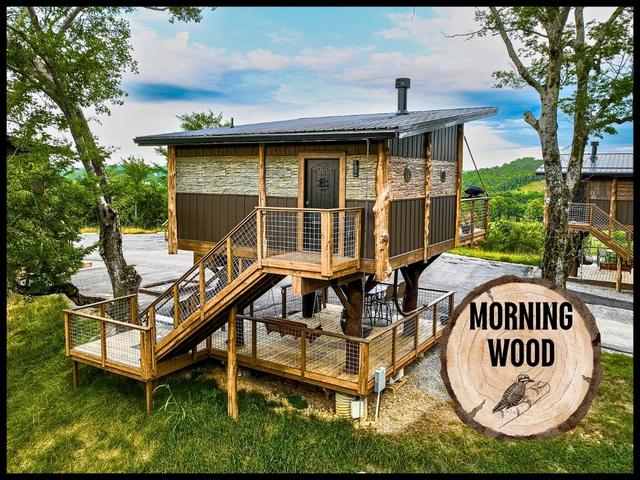 Photo of 58 - MORNING WOOD