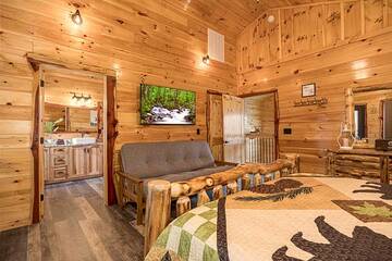 Cabin master bedroom with tv and futon seating.
