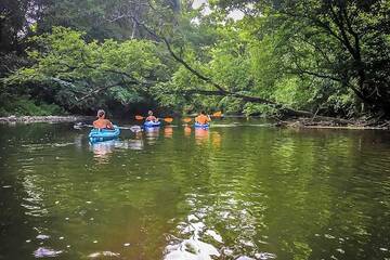 Kayaking down the Little Pigeon River by River Waltz Cottage.