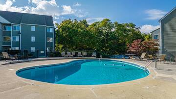 Outdoor swimming pool at the condos. 