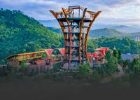 Photo of Bear Crossing 402