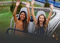 Photo of Bear Crossing 402