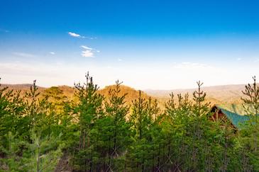Amazing Adventure Lodge