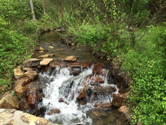 Peaceful Creek