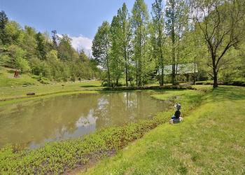 Peaceful Creek