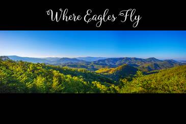 Where Eagles Fly