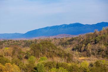 A Bear's Mountain View