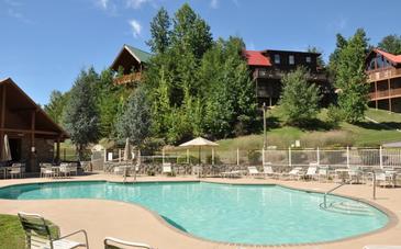 A Bear's Alpine Pool