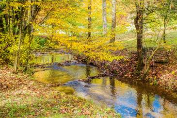 Peaceful Creek