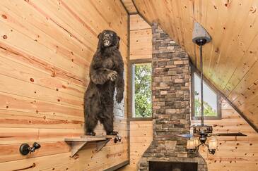 Andrea's Bear Lodge