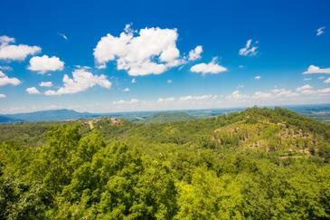 Birds Eye View