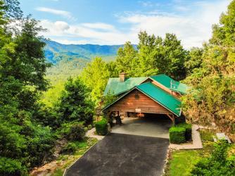 Treetop Retreat