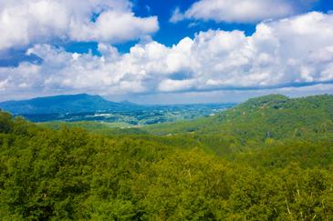 Mountain Top Views