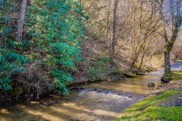 Flowing Waters Lodge