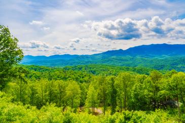 A Beautiful Gatlinburg Dream