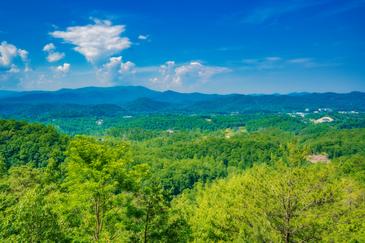 Lookout Lodge