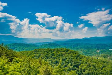 Lookout Lodge