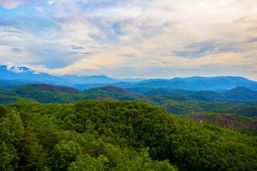 Lookout Lodge