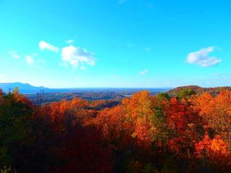 A Smoky Mountain Hide-A-Way