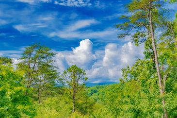 Scenic Mountain Splash