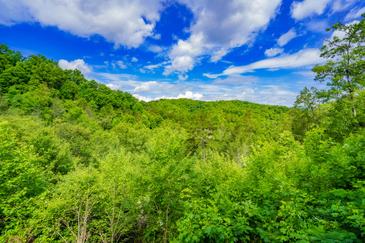 Amazing Mountain View