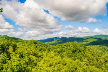 Smoky Mountain Serenity