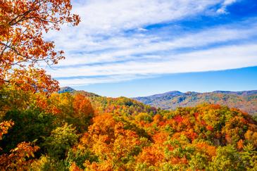 Smoky Mountain Serenity