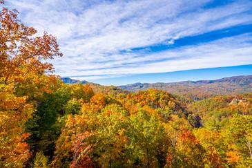 Smoky Mountain Serenity