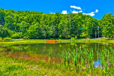 Hickory Hollow Retreat