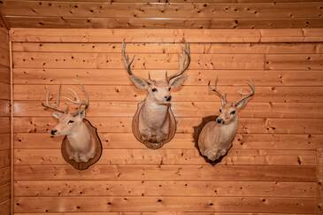 Elk Horn Lodge
