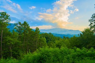 Gatlinburg Mountain Romance