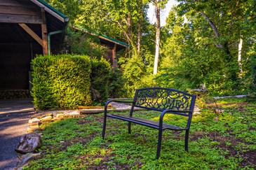 Treetop Retreat