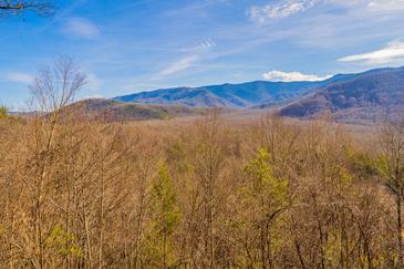 Treetop Retreat