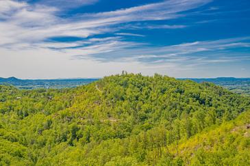 Rustic Mountain View 