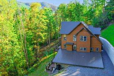 Three Little Bears In The Smokies