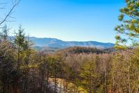 Country Bear Hideaway