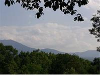 Display photo for Falcon Crest