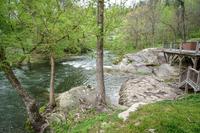 Display photo for River Adventure Lodge