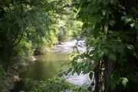 River Cottage