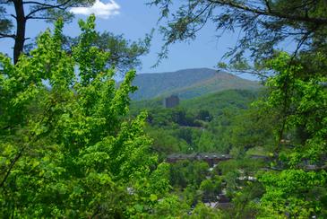 AboveGatlib_DSC_0150