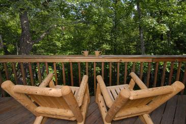 BearView__DSC0016