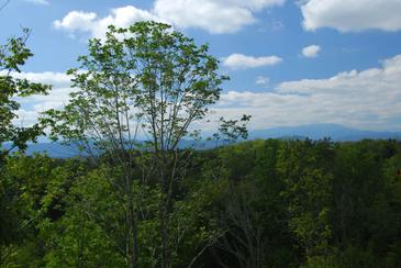 MtnBreeze_DSC_0016