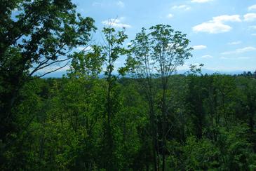 MtnBreeze_DSC_0196