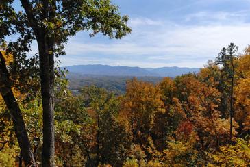 OverTheTop_DSC_0111_DxO