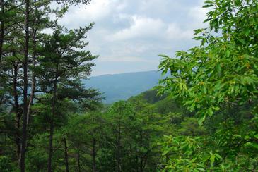 ArborPoint_DSC_0008