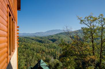 141023_Sherwood_Forest_0001